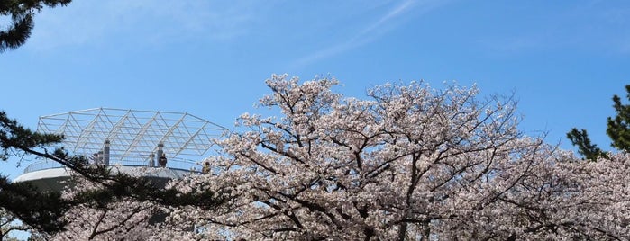 Nojima Park is one of 公園・庭園・寺社仏閣.