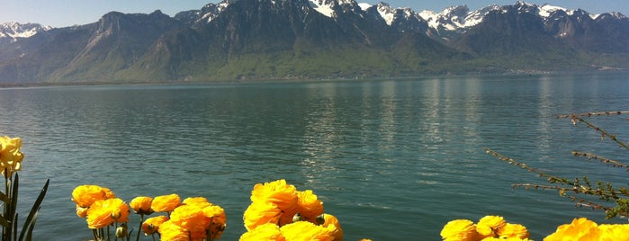 Riviera Montreux is one of Lugares favoritos de Süleyman.