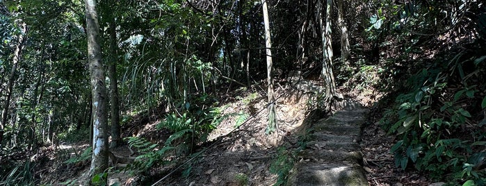 Ketumbar Hill Peak View - Hiking is one of Selangor - KL.