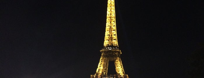 Torre Eiffel is one of Locais curtidos por Nurgül.