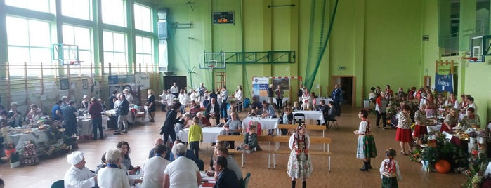 Gminny Ośrodek Kultury i Sportu w Wielkiej Wsi is one of Gminne instytucje.