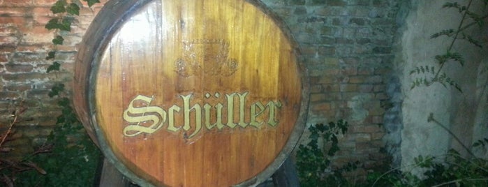 Schüller Brew Pub is one of San Vicente.