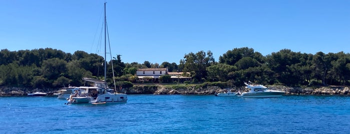 Île Saint-Honorat is one of Provence - Côte d'Azur 🌻.