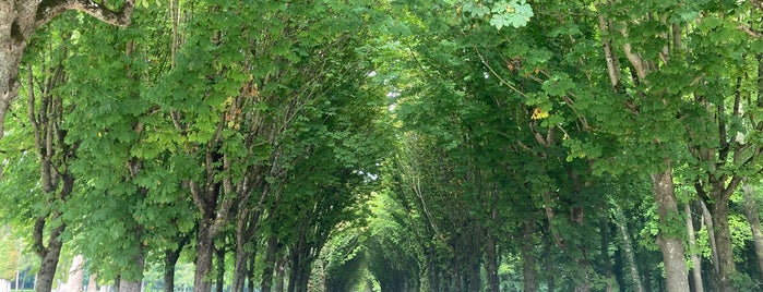 Parc du Château de Fontainebleau is one of Europe to-do.