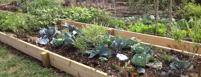 Frederick News Post Community Garden is one of Guide to Frederick's best spots.