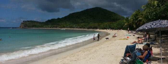 Smuggler's Cove is one of Must visit places in BVI.