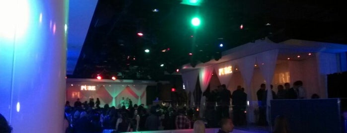 PURE Nightclub is one of Help! I'm in Vegas.