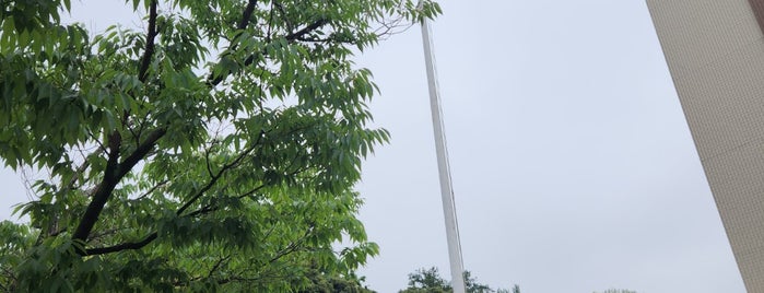 第18回オリンピック大会(1964)で、参加各国の国旗を掲揚する為に国立競技場に建てられたポール is one of Tokyo-North.