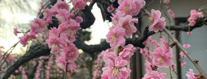 洞昌院 is one of 神奈川西部の神社.