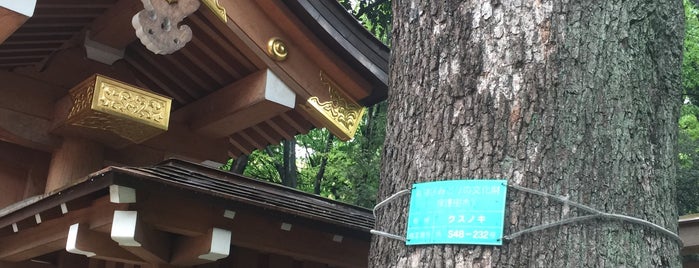 新宿区みどりの文化財 保護樹木 S48-232 クスノキ_十二社熊野神社 is one of 木・緑地.