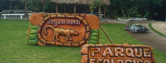 Parque Ecológico Jaguaroundi is one of Posti salvati di René.