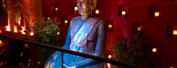 TAO Asian Bistro is one of VEGAS!.