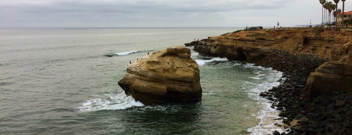 Sunset Cliffs Natural Park is one of Hunterさんのお気に入りスポット.