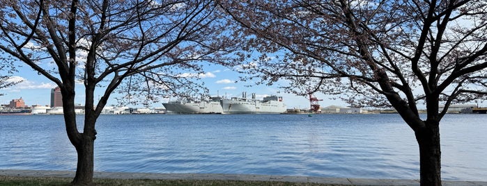 Fort McHenry National Monument and Historic Shrine is one of Aaron 님이 저장한 장소.