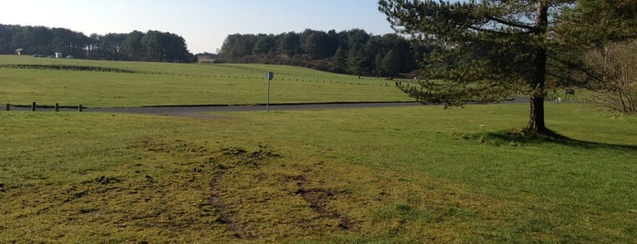 Pembrey Country Park is one of András : понравившиеся места.