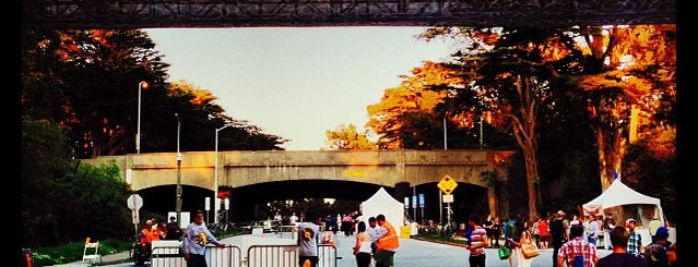 Golden Gate Park is one of San Francisco.