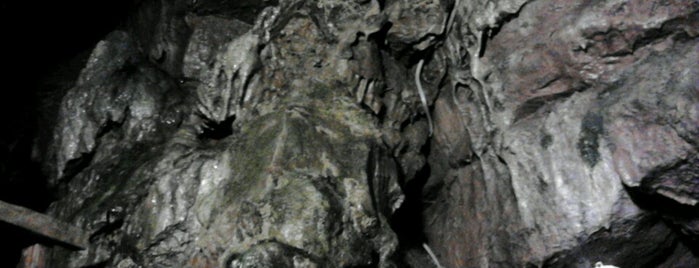Olentangy Indian caves is one of Sarah : понравившиеся места.