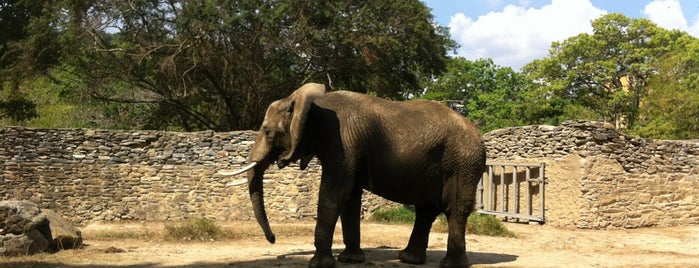 Parque Zoológico Caricuao is one of Orte, die Lover gefallen.