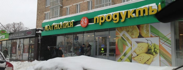 Магнолия is one of Lieux qui ont plu à Roger.