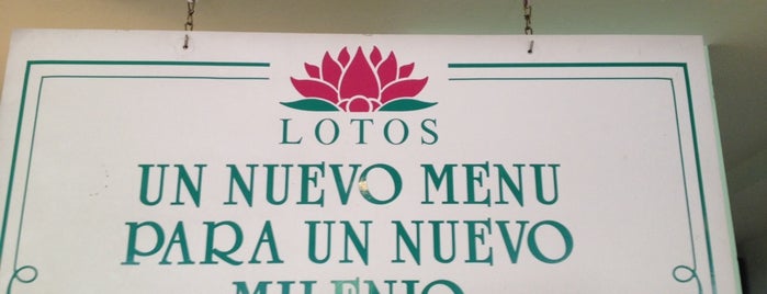 Lotos is one of Rapiditos.