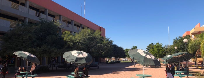 Instituto Tecnológico y de Estudios Superiores de Monterrey is one of Sistema Tecnológico de Monterrey.