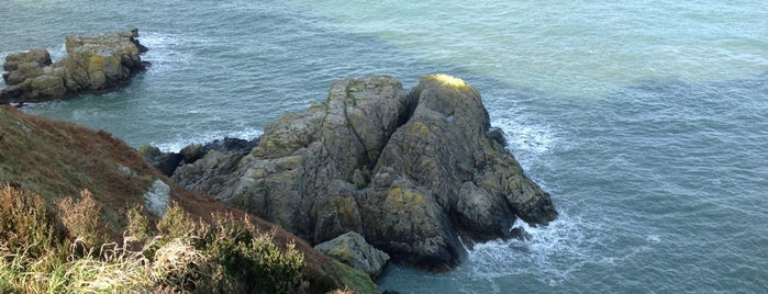 Howth Cliff Walk is one of Dublin.