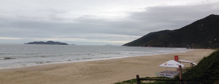 Açores is one of Bairros e Distritos de Florianópolis.