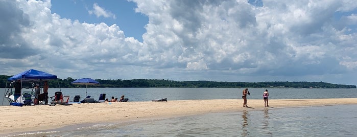 Shark's Tooth Island (Hollis Island) is one of Sree : понравившиеся места.