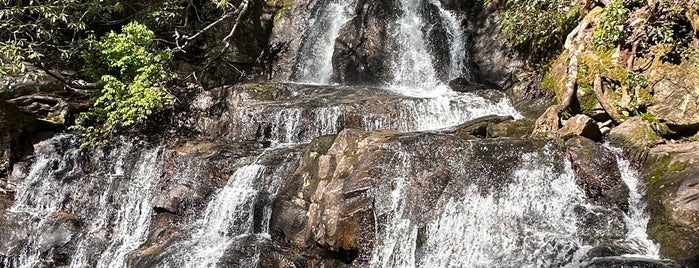 Laurel Falls is one of Great Smoky Mountains.