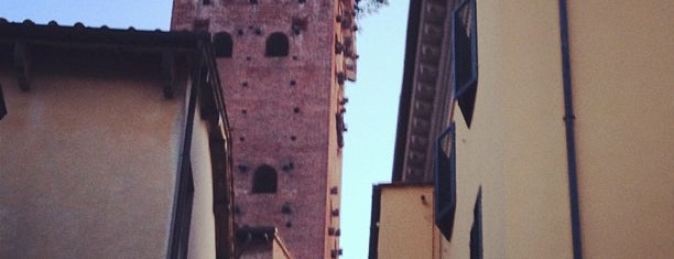 Torre Guinigi is one of Trips / Tuscany.