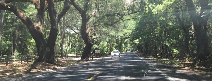 Bohicket Road is one of Seabrook favorites.