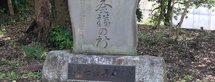 三芳野稲荷神社 is one of 埼玉県_川越市.