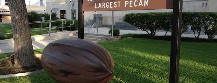 World's Largest Pecan is one of World's Largest ____ in the US.