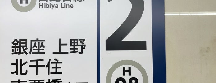 Hibiya Line Platform 2 is one of 要修正1.