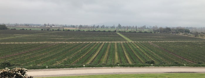 Odfjell Vineyards is one of Lugares favoritos de Roza.