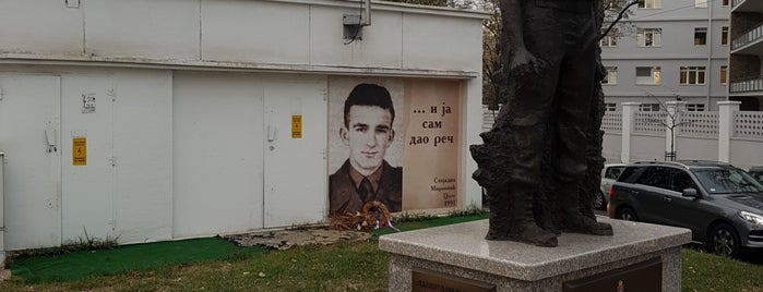 Spomenik narodnom heroju Milanu Tepiću is one of Lieux qui ont plu à Fedor.