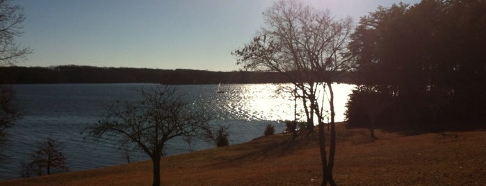 Smith Mountain Lake State Park is one of Places I Like Near Home.