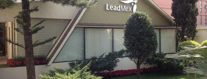 Leadmex is one of สถานที่ที่ Manuel ถูกใจ.