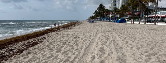 Bayshore Beach is one of Florida.