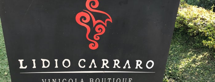 Lidio Carraro is one of Vale dos vinhedos Bento Gonçalves.