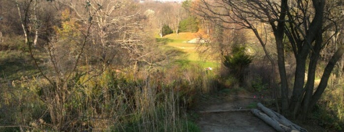 Nichols Arboretum is one of #ExploreA2.