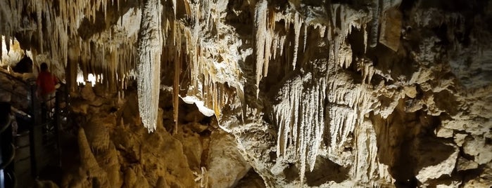 Ngilgi Caves is one of Western Australia.