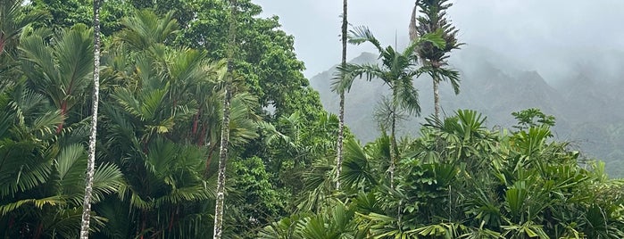 Ho‘omaluhia Botanical Garden is one of Oahu: The Gathering Place.