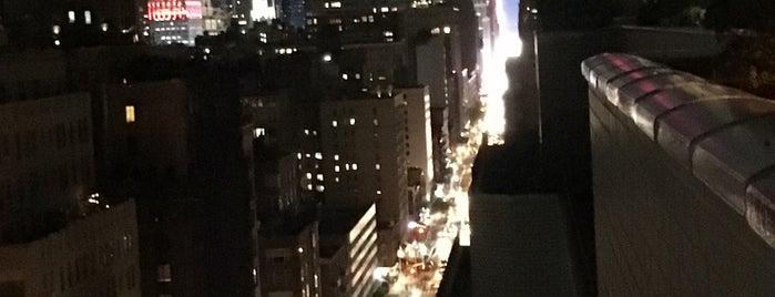 Vermeer Roof is one of NYC.