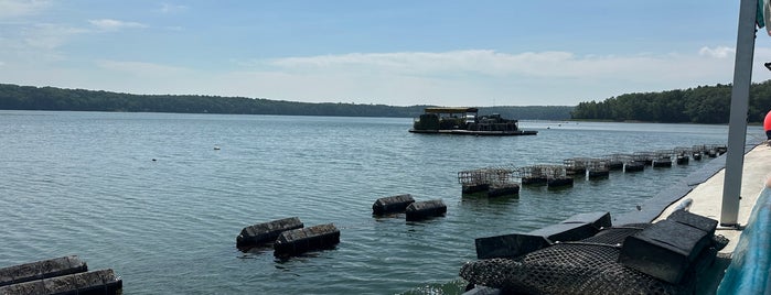 Glidden Point Oyster Farm is one of Oysters.