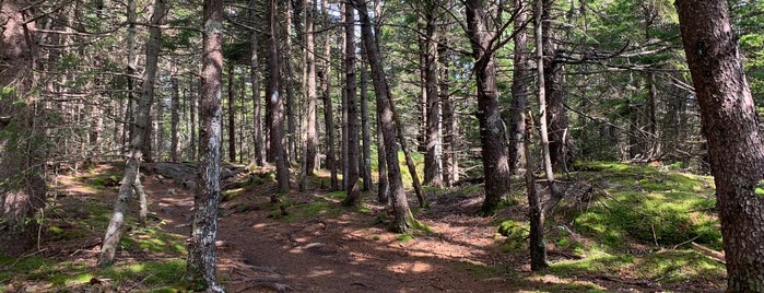 Mount Megunticook is one of Vacationland.