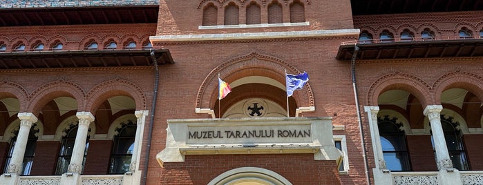 Muzeul Țăranului Român is one of Anouk 님이 저장한 장소.
