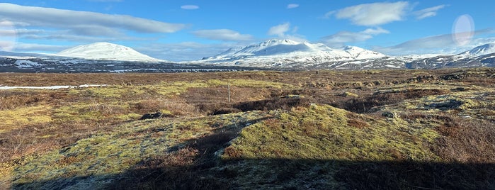 Þingvellir Gestastofa is one of 2019 Iceland Ring Road.