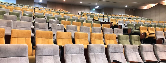 Ouay Ketusingh Lecture Hall is one of siriraj.
