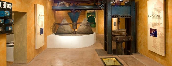Museo Del Aceite is one of Turismo y gastronomía en el Alto Palancia.